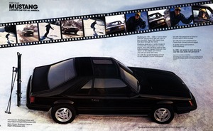 1981 Ford Mustang-02-03.jpg